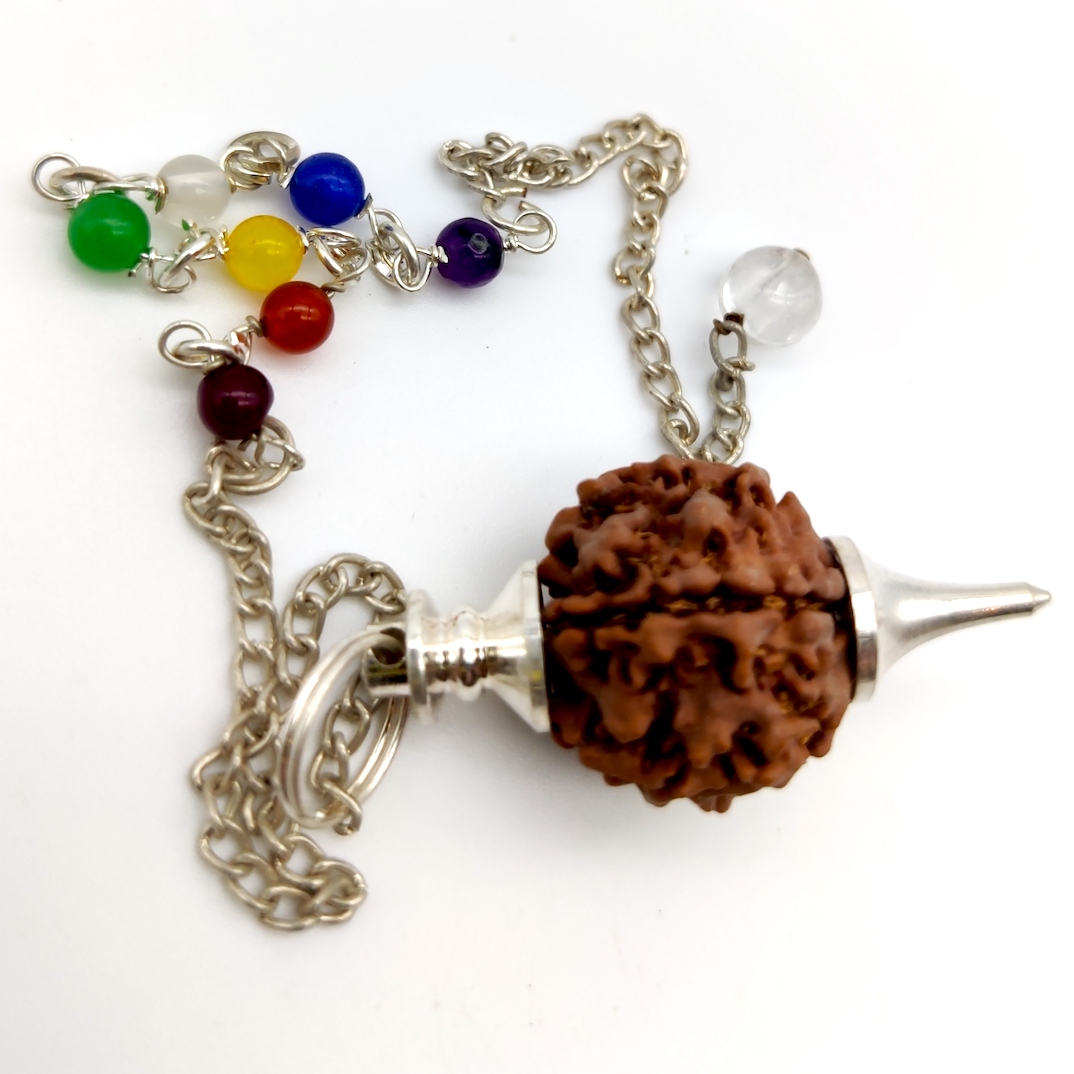 Pendolo Rudraksha 2